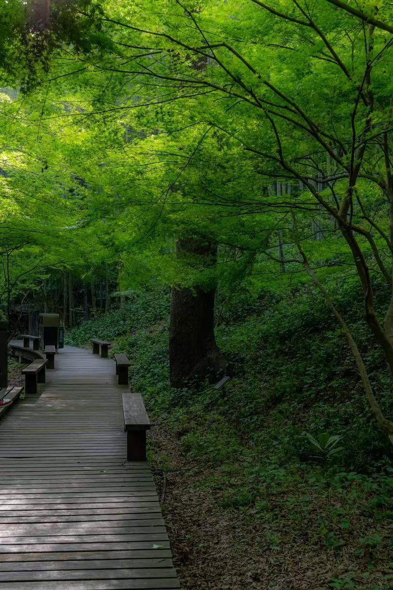 国内安静又美的地方推荐，享受简单宁静生活好去处